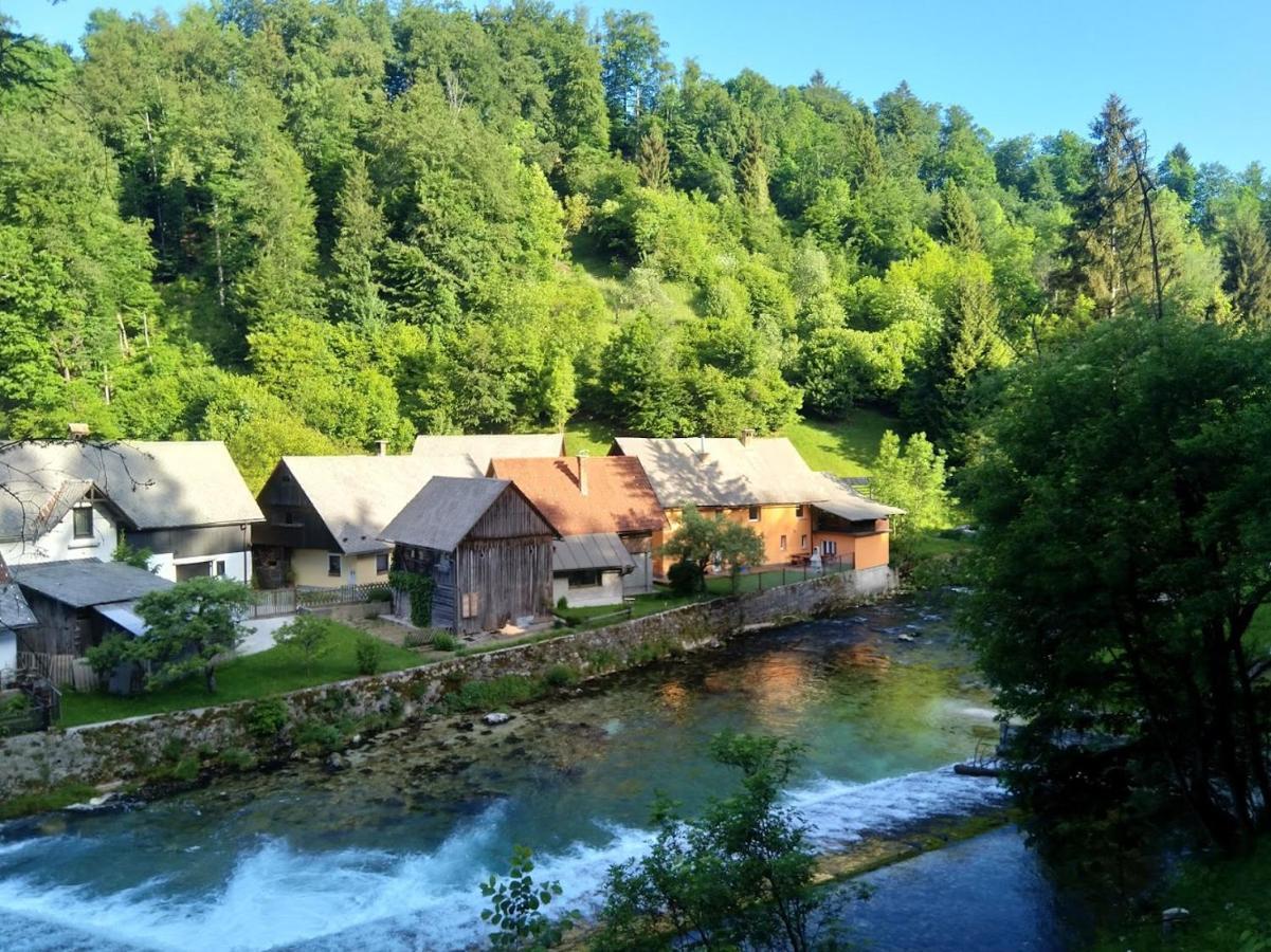 House By The River Villa Zgornje Gorje Exteriör bild